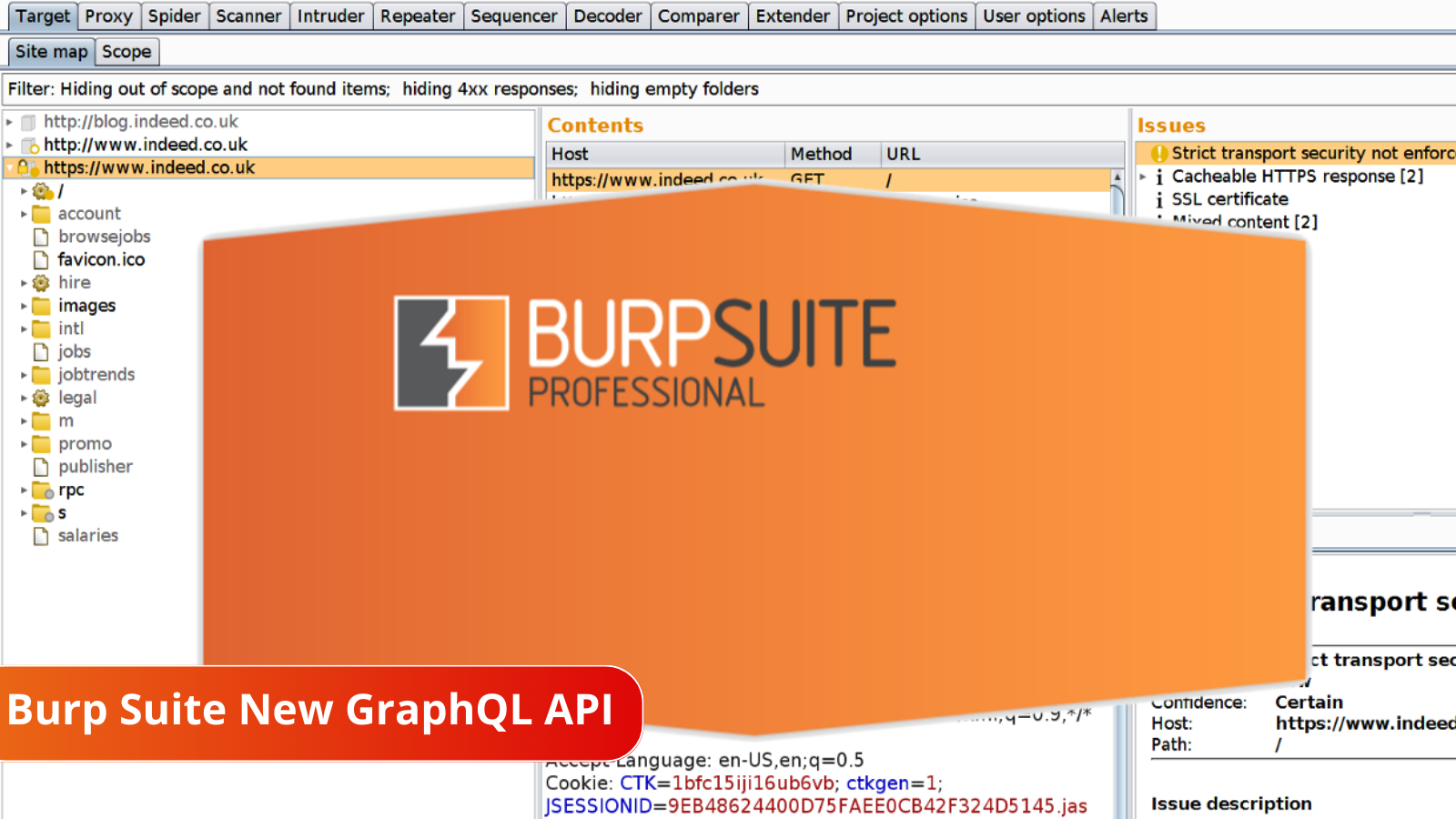 Burp Suite GraphQL API